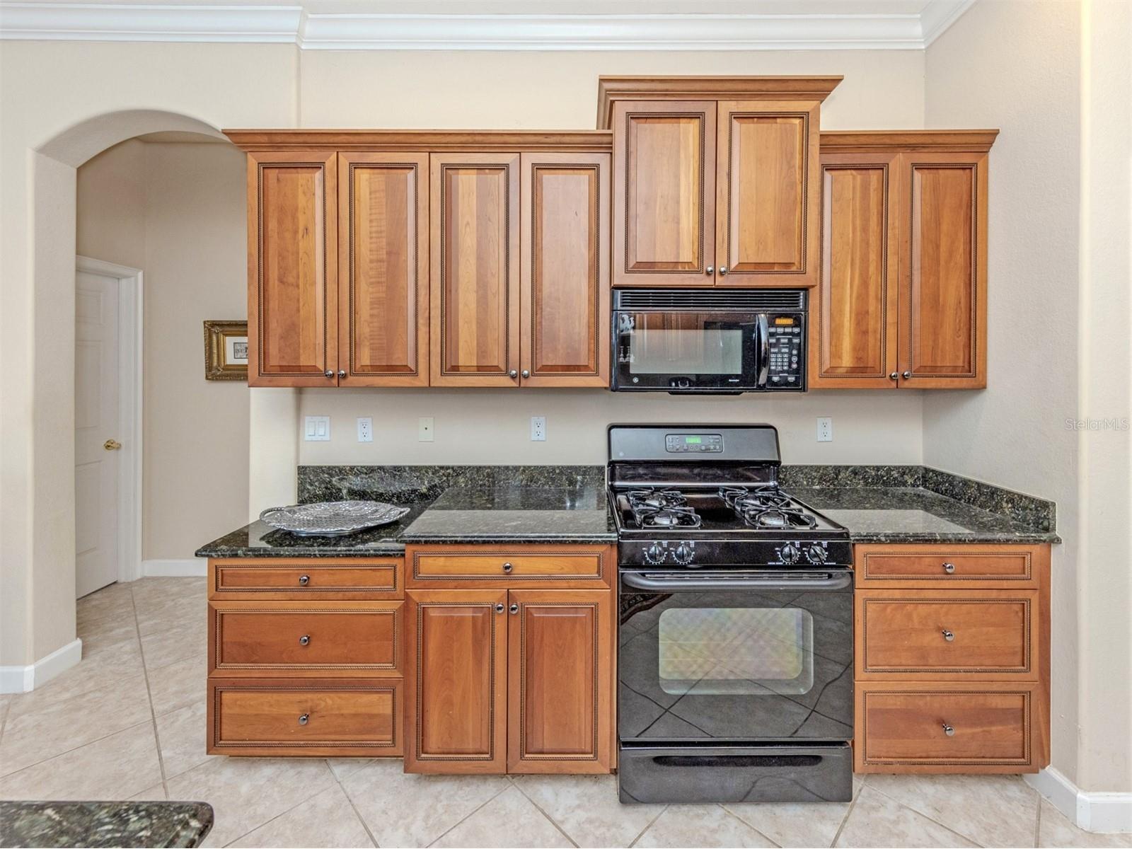 193 Montelluna Drive North Venice FL 34275 N6143170 image19