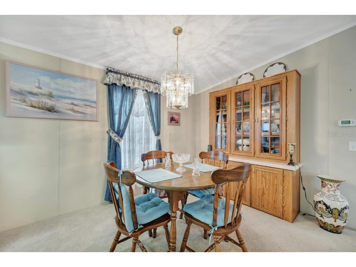 193 S Port Royal Lane Apollo Beach FL 33572 TB8429574 image15