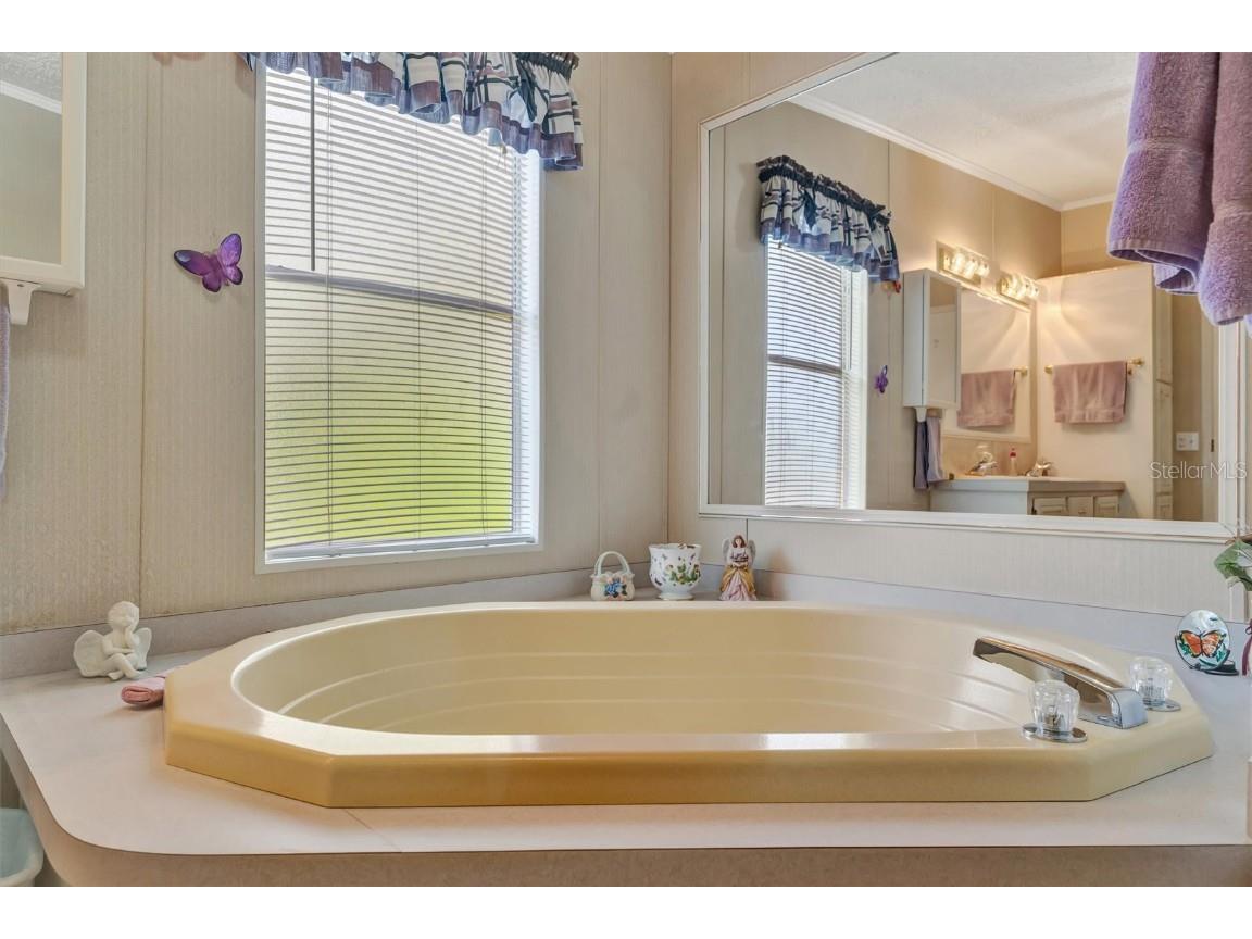 193 S Port Royal Lane Apollo Beach FL 33572 TB8429574 image25