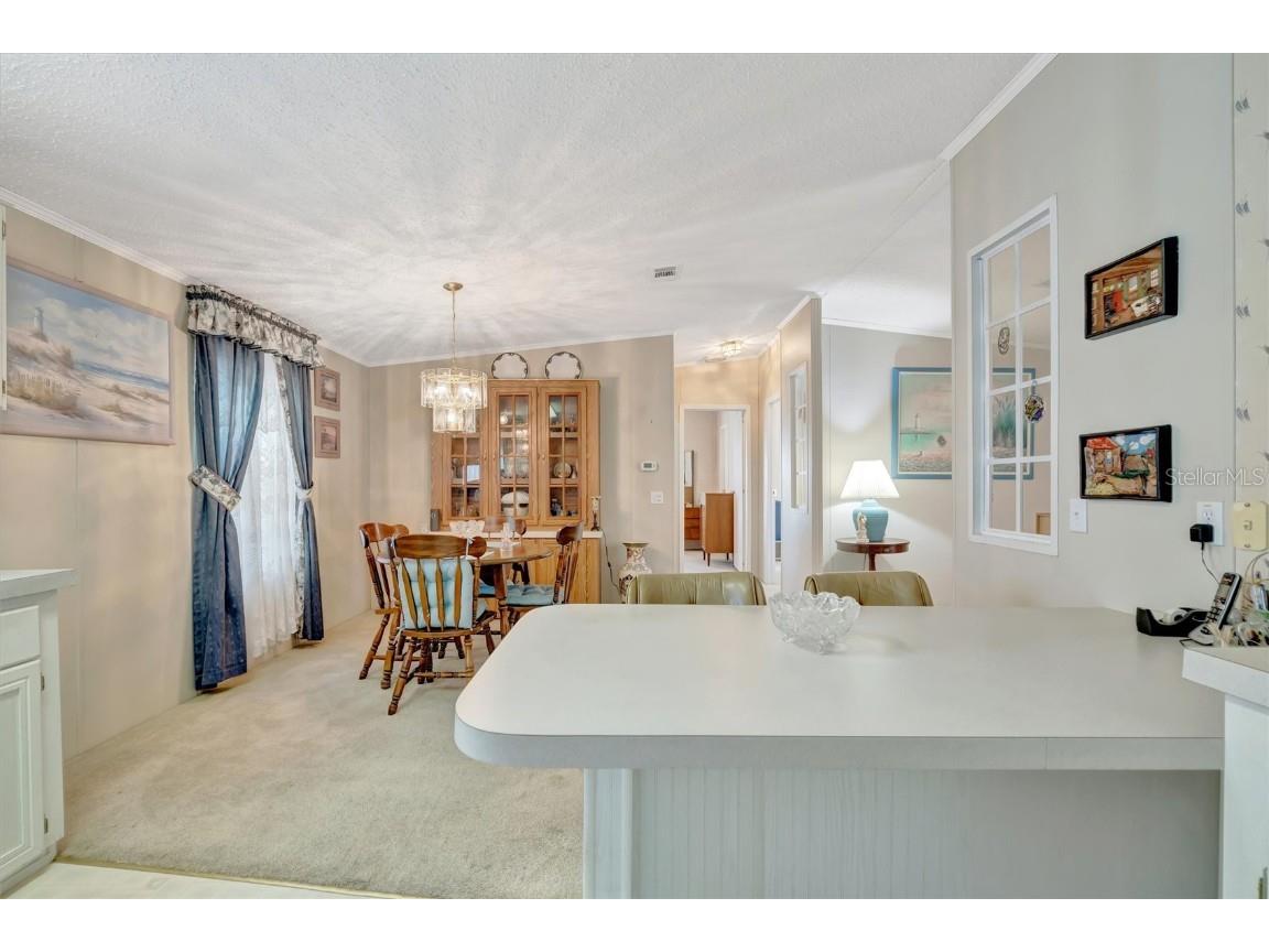 193 S Port Royal Lane Apollo Beach FL 33572 TB8429574 image6