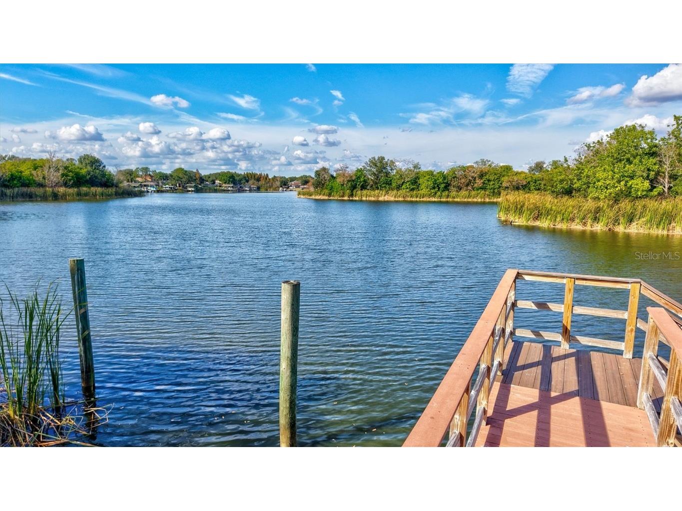 1930 Fruitridge Street Brandon FL 33510 - MANGO LAKE TB8450067 image52