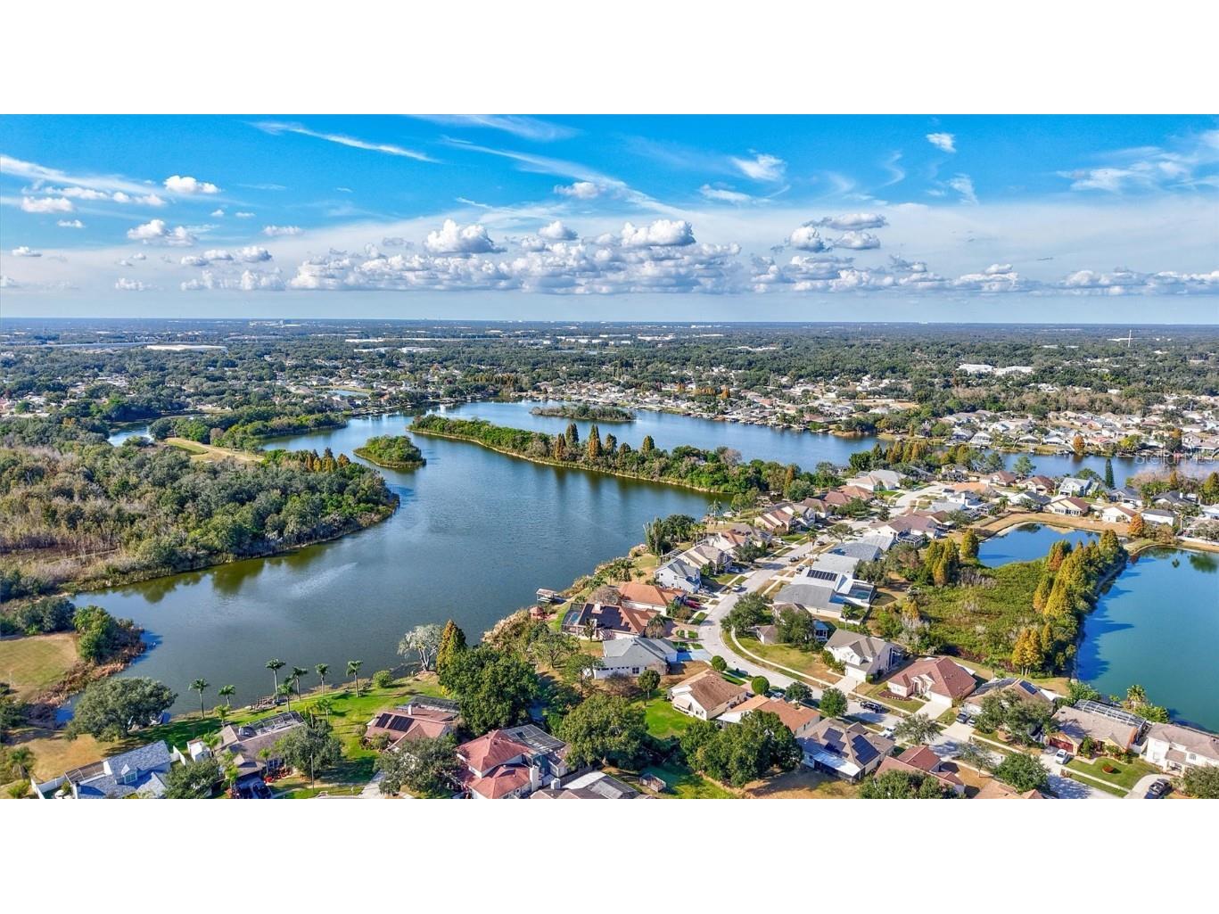 1930 Fruitridge Street Brandon FL 33510 - MANGO LAKE TB8450067 image61