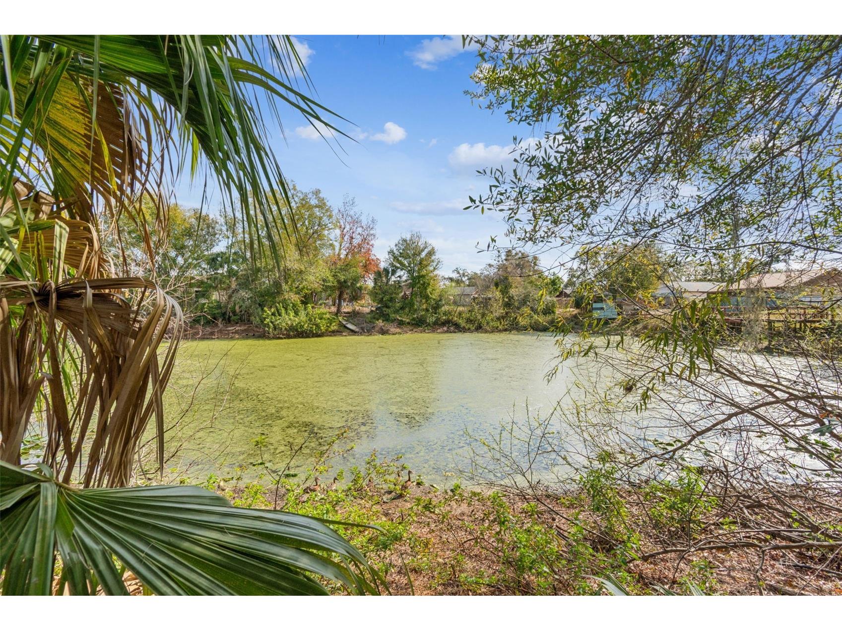 1930 Gregory Drive Tampa FL 33613 W7882425 image72