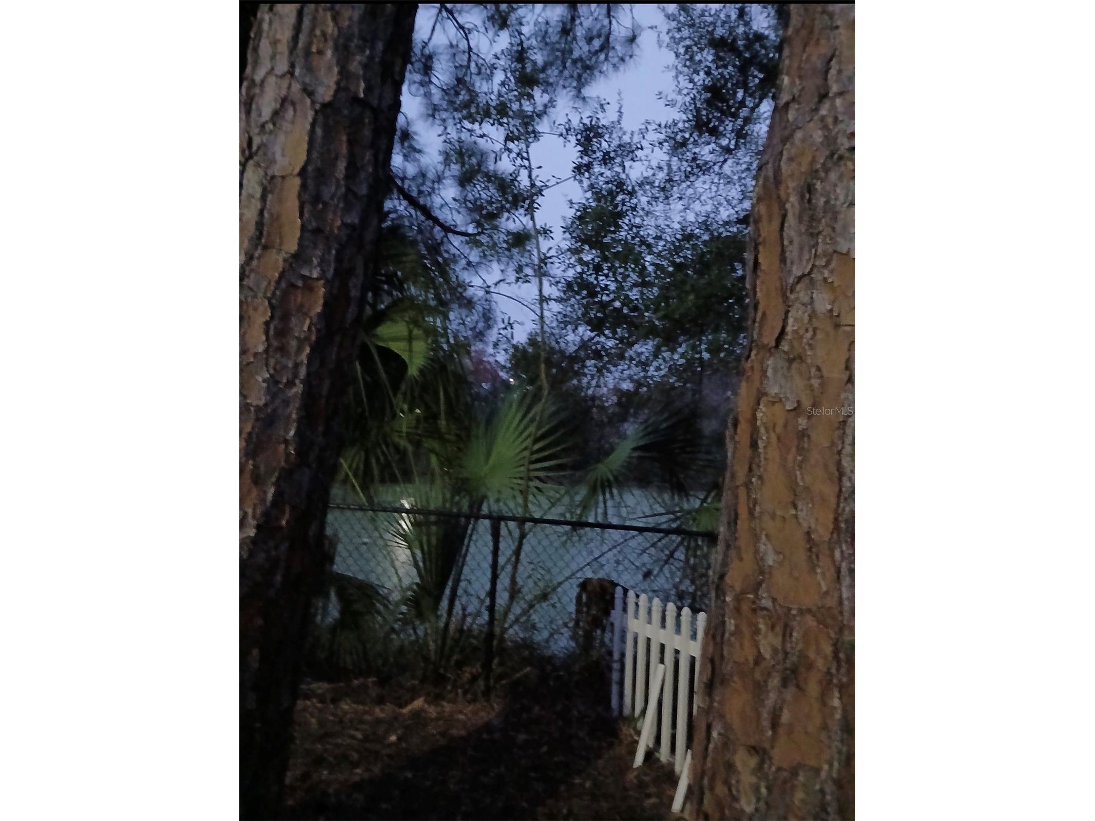1930 Gregory Drive Tampa FL 33613 W7882425 image73
