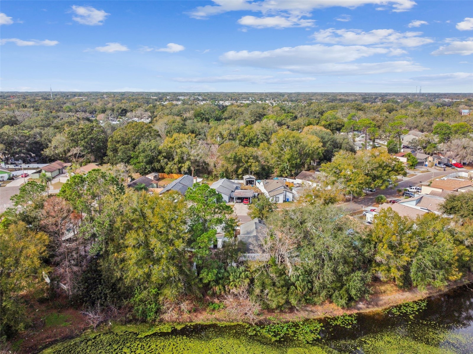 1930 Gregory Drive Tampa FL 33613 W7882425 image77