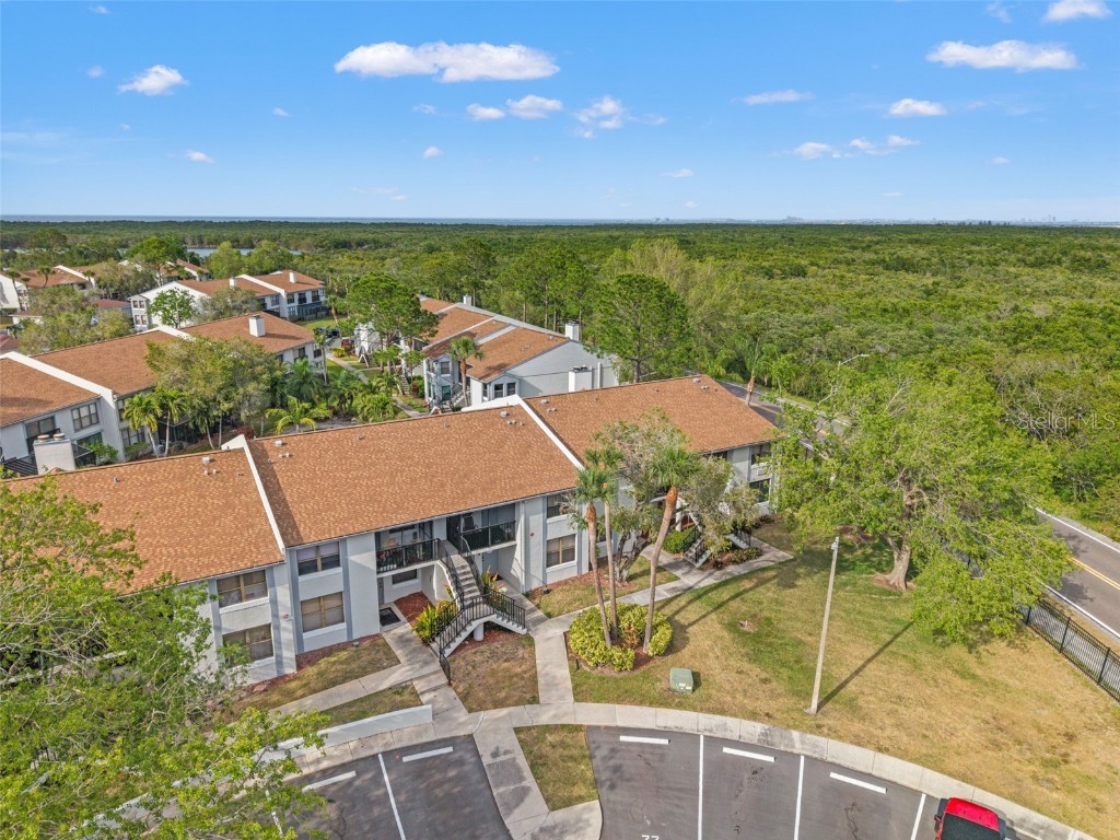 1930 Laughing Gull Lane #1225 Clearwater FL 33762 TB8378629 image1