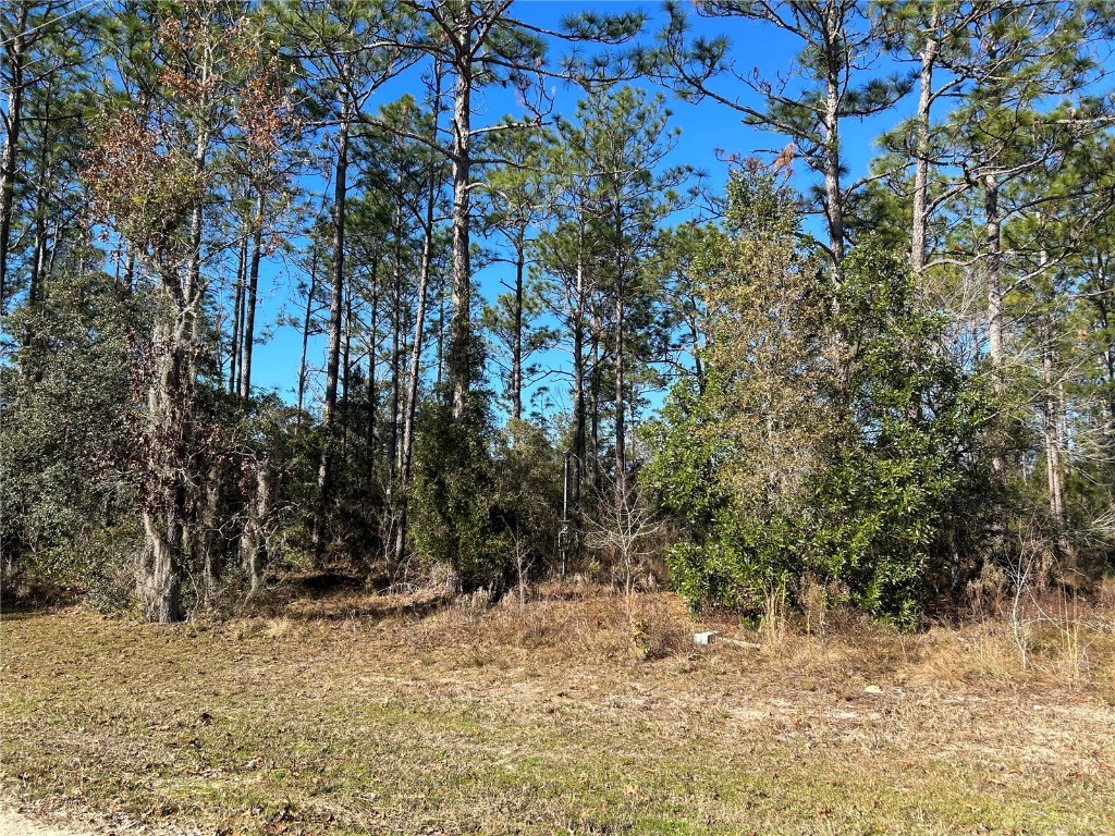 1930 NE 121 Court Williston FL 32696 OM670630 image1