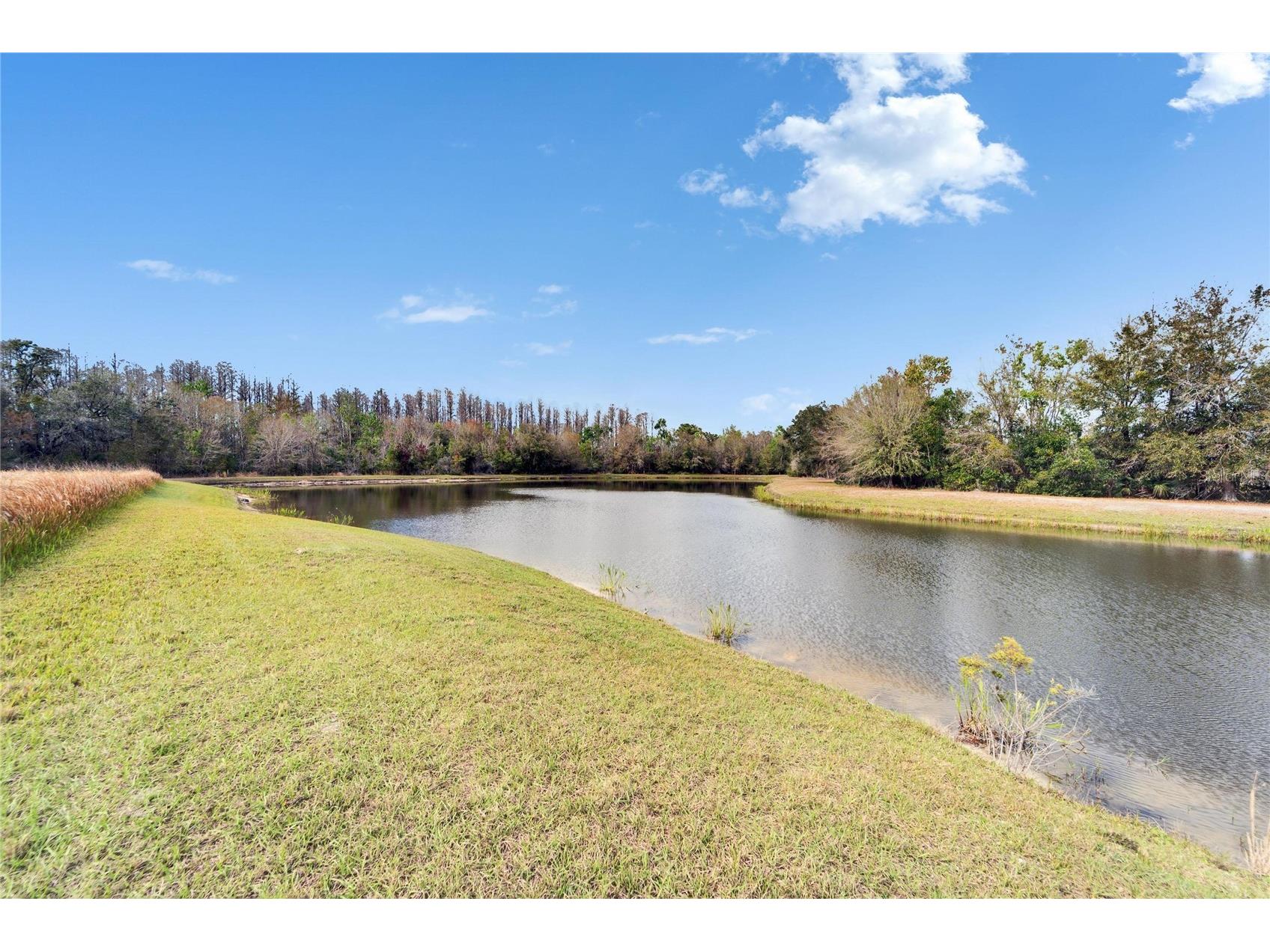 19300 Lonesome Pine Drive Land O Lakes FL 34638 T3539676 image11