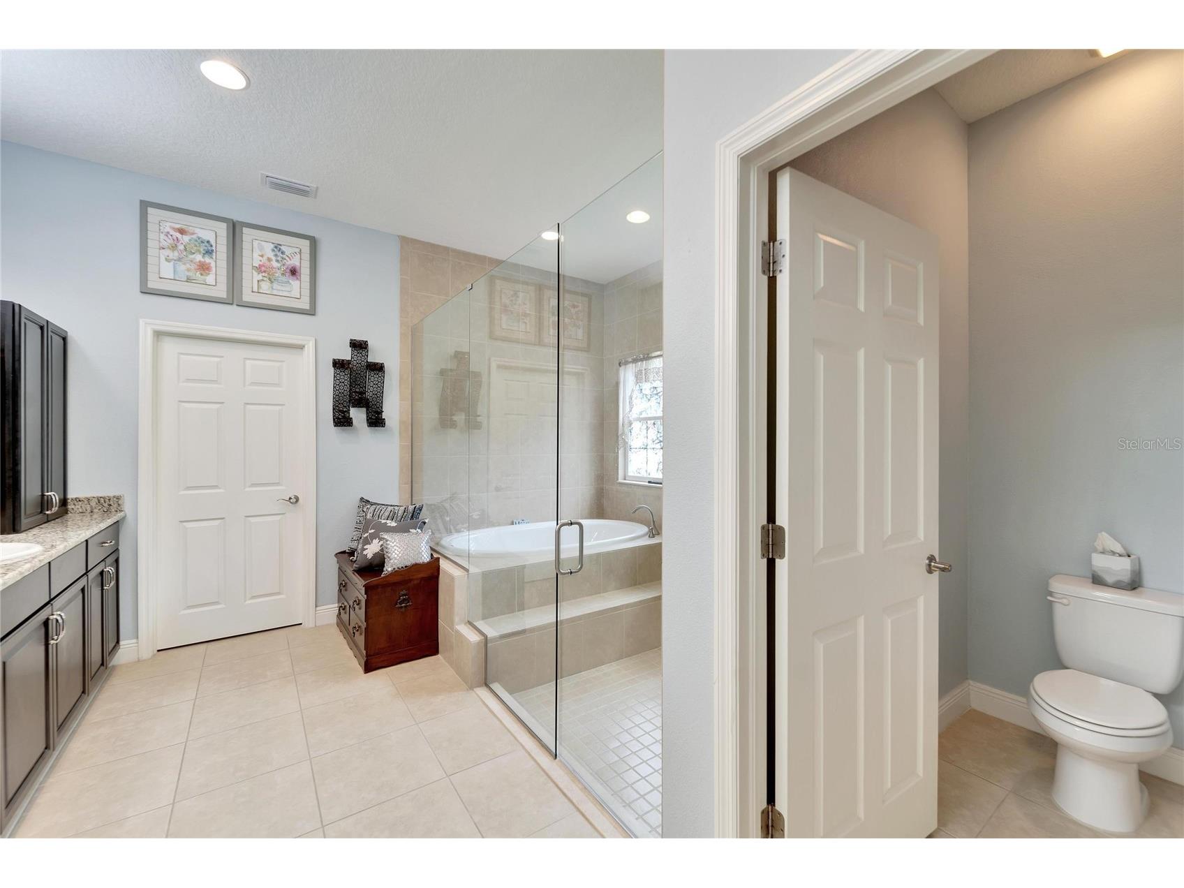 19300 Lonesome Pine Drive Land O Lakes FL 34638 T3539676 image37