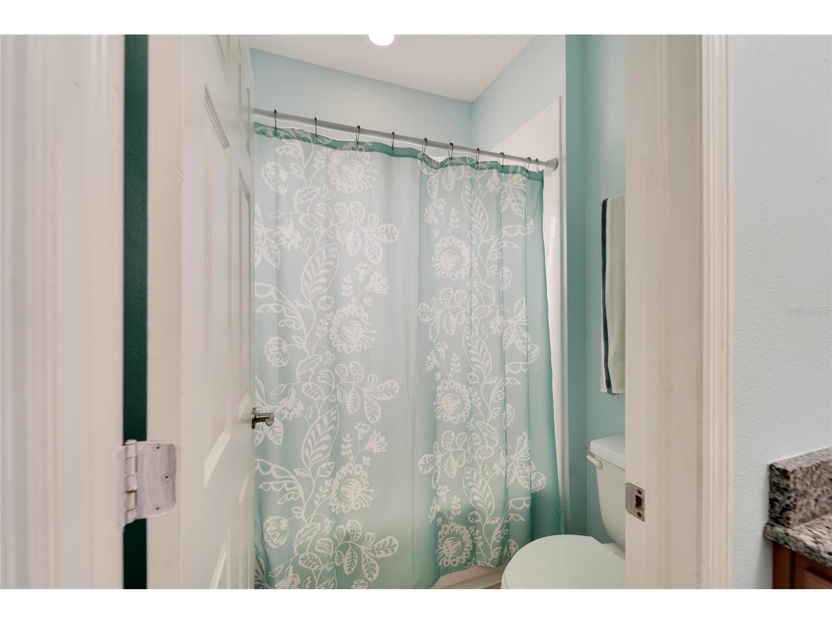 19300 Lonesome Pine Drive Land O Lakes FL 34638 T3539676 image52