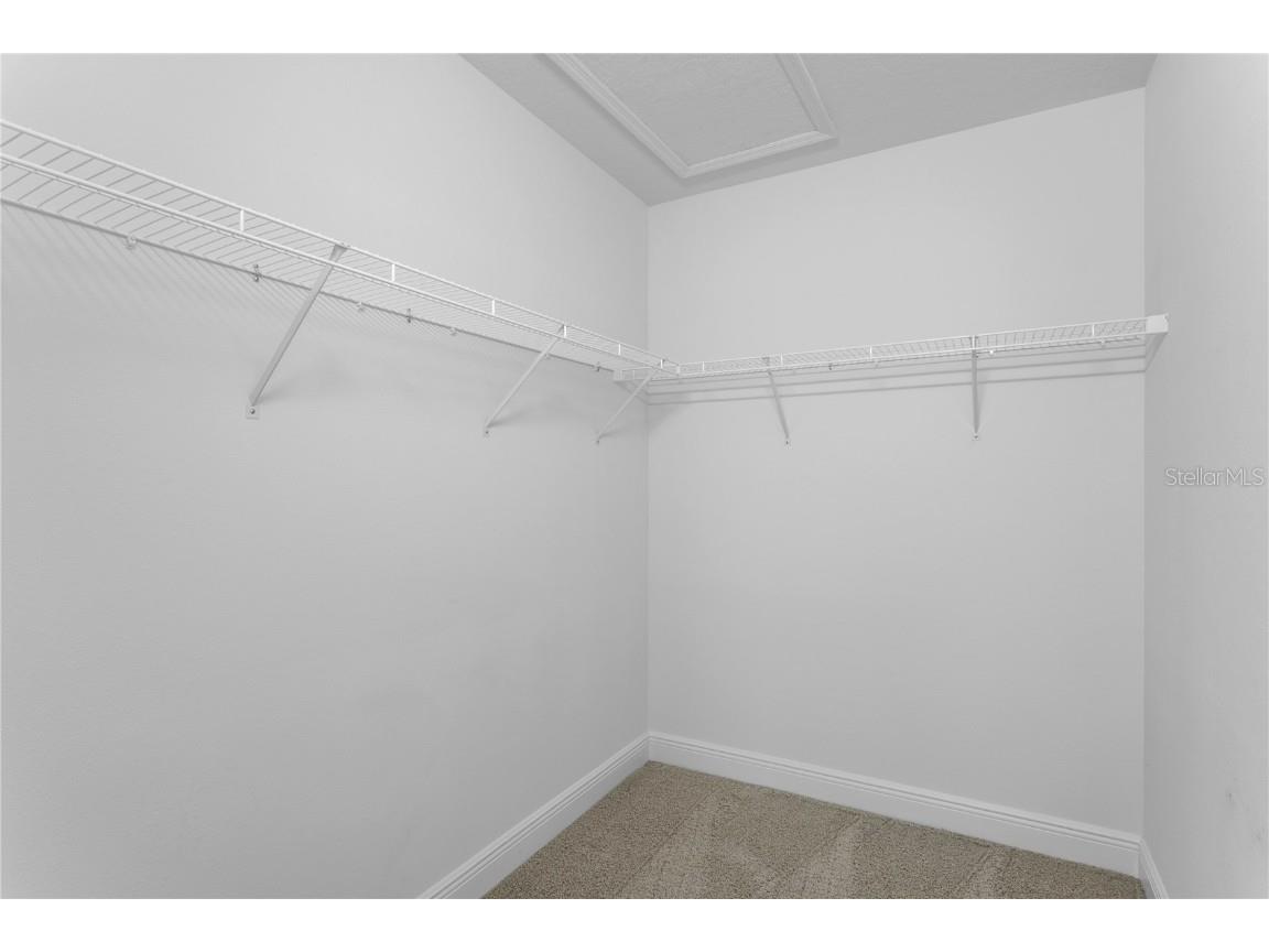 19303 Water Maple Drive Tampa FL 33647 TB8443253 image43