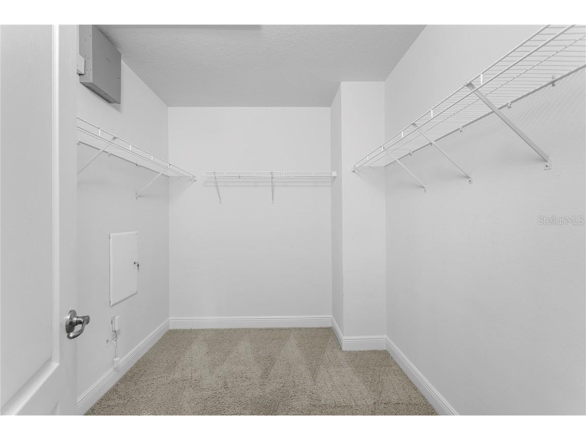 19303 Water Maple Drive Tampa FL 33647 TB8443253 image44