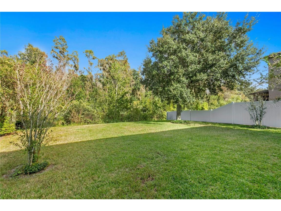 19303 Water Maple Drive Tampa FL 33647 TB8443253 image61