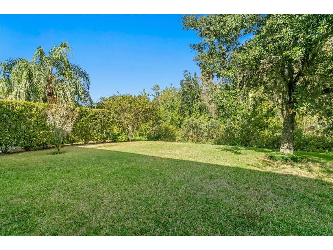 19303 Water Maple Drive Tampa FL 33647 TB8443253 image62