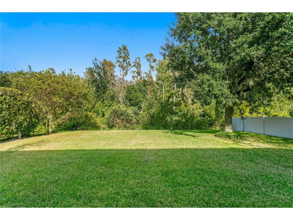 19303 Water Maple Drive Tampa FL 33647 TB8443253 image63