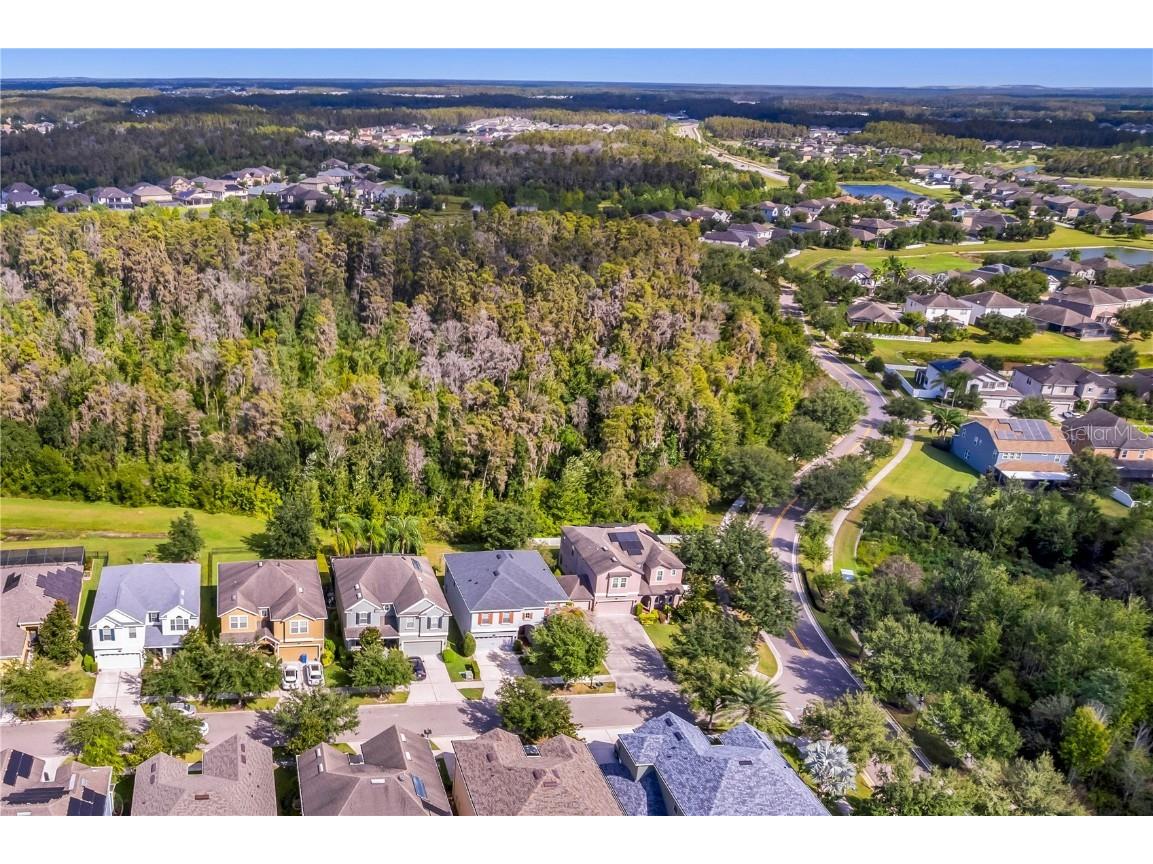 19303 Water Maple Drive Tampa FL 33647 TB8443253 image78