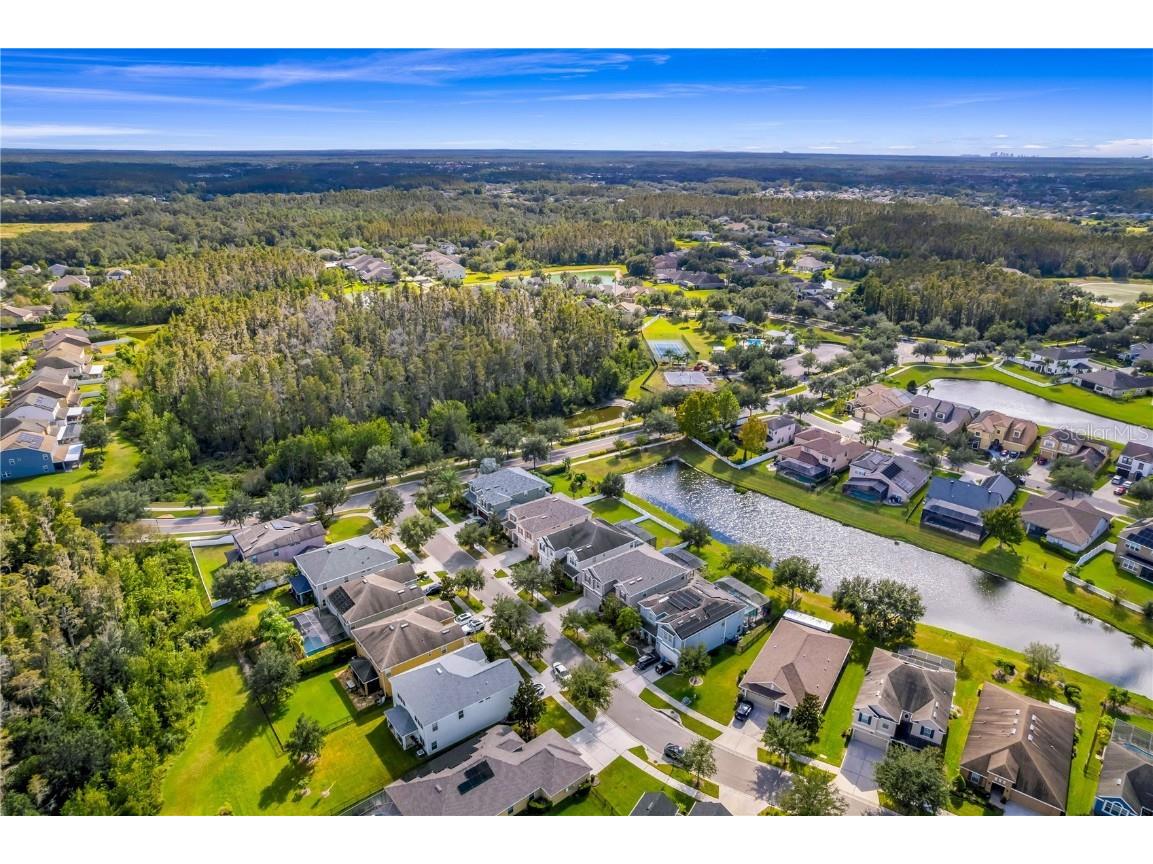 19303 Water Maple Drive Tampa FL 33647 TB8443253 image79