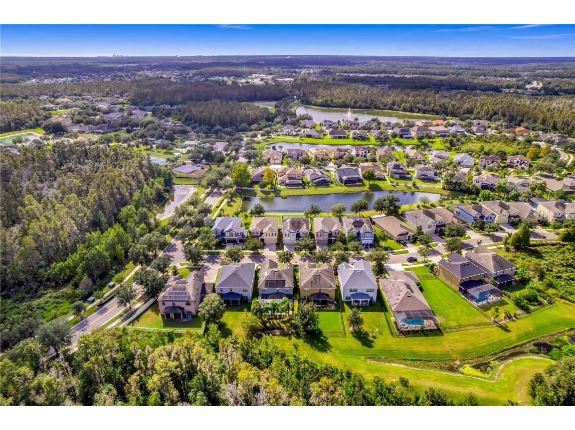 19303 Water Maple Drive Tampa FL 33647 TB8443253 image80