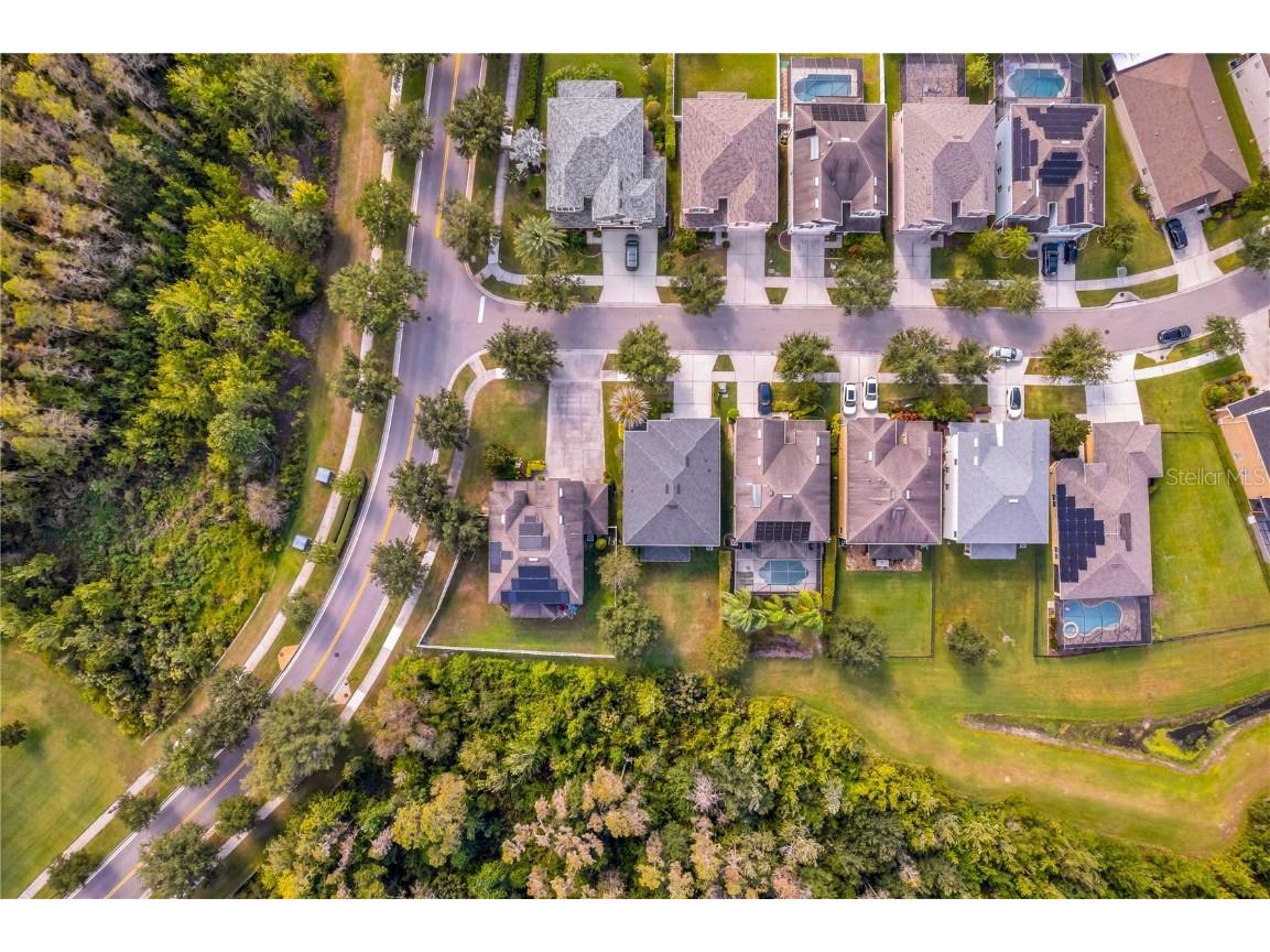 19303 Water Maple Drive Tampa FL 33647 TB8443253 image82