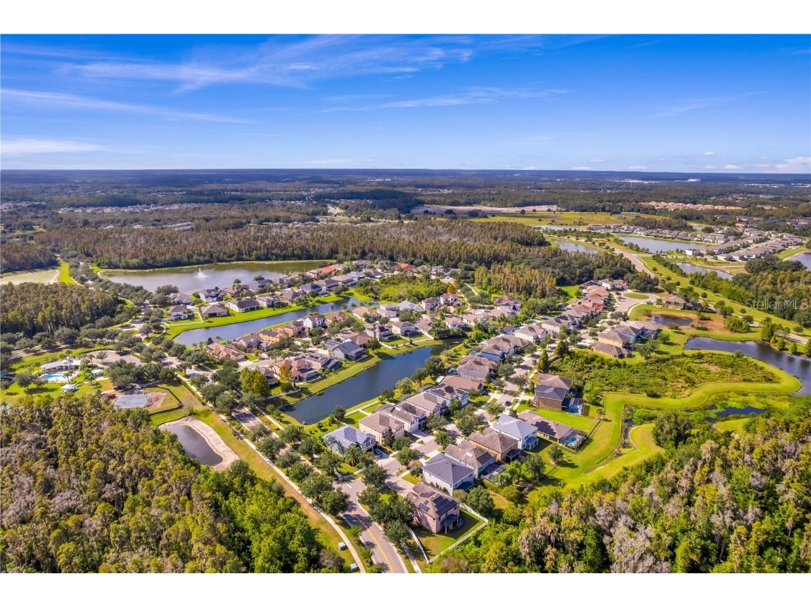 19303 Water Maple Drive Tampa FL 33647 TB8443253 image83