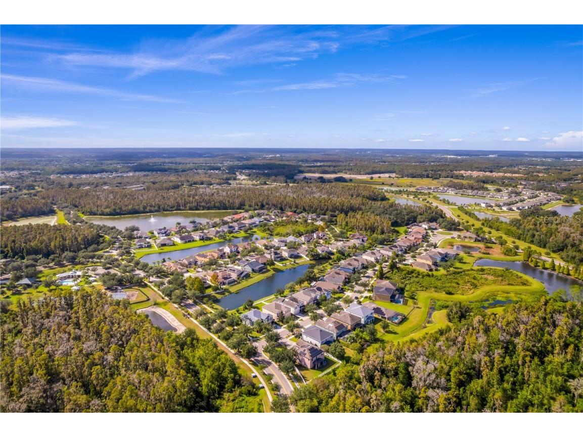 19303 Water Maple Drive Tampa FL 33647 TB8443253 image84