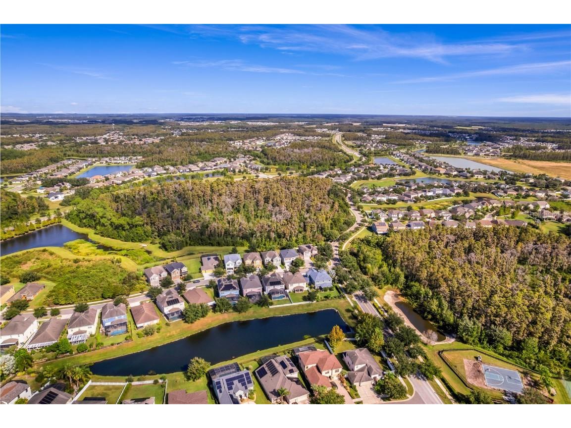 19303 Water Maple Drive Tampa FL 33647 TB8443253 image85