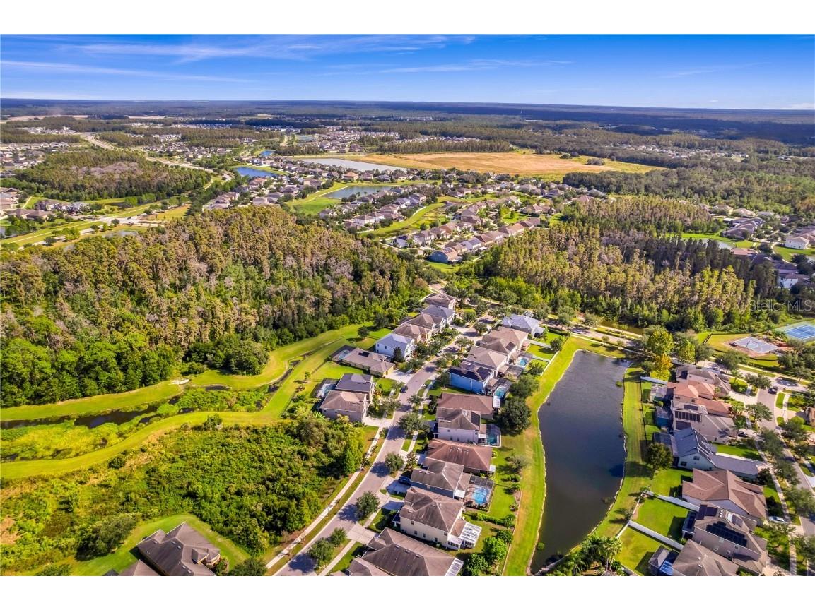 19303 Water Maple Drive Tampa FL 33647 TB8443253 image86