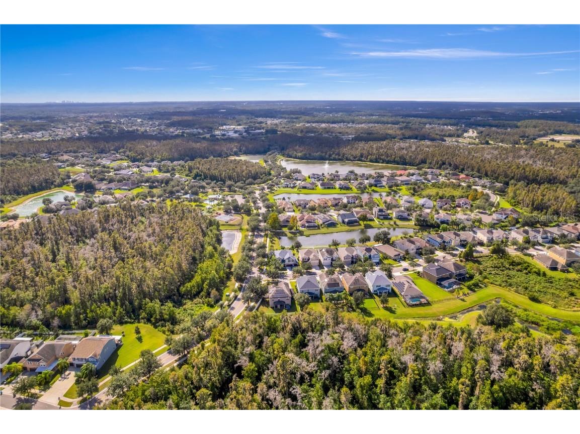 19303 Water Maple Drive Tampa FL 33647 TB8443253 image87