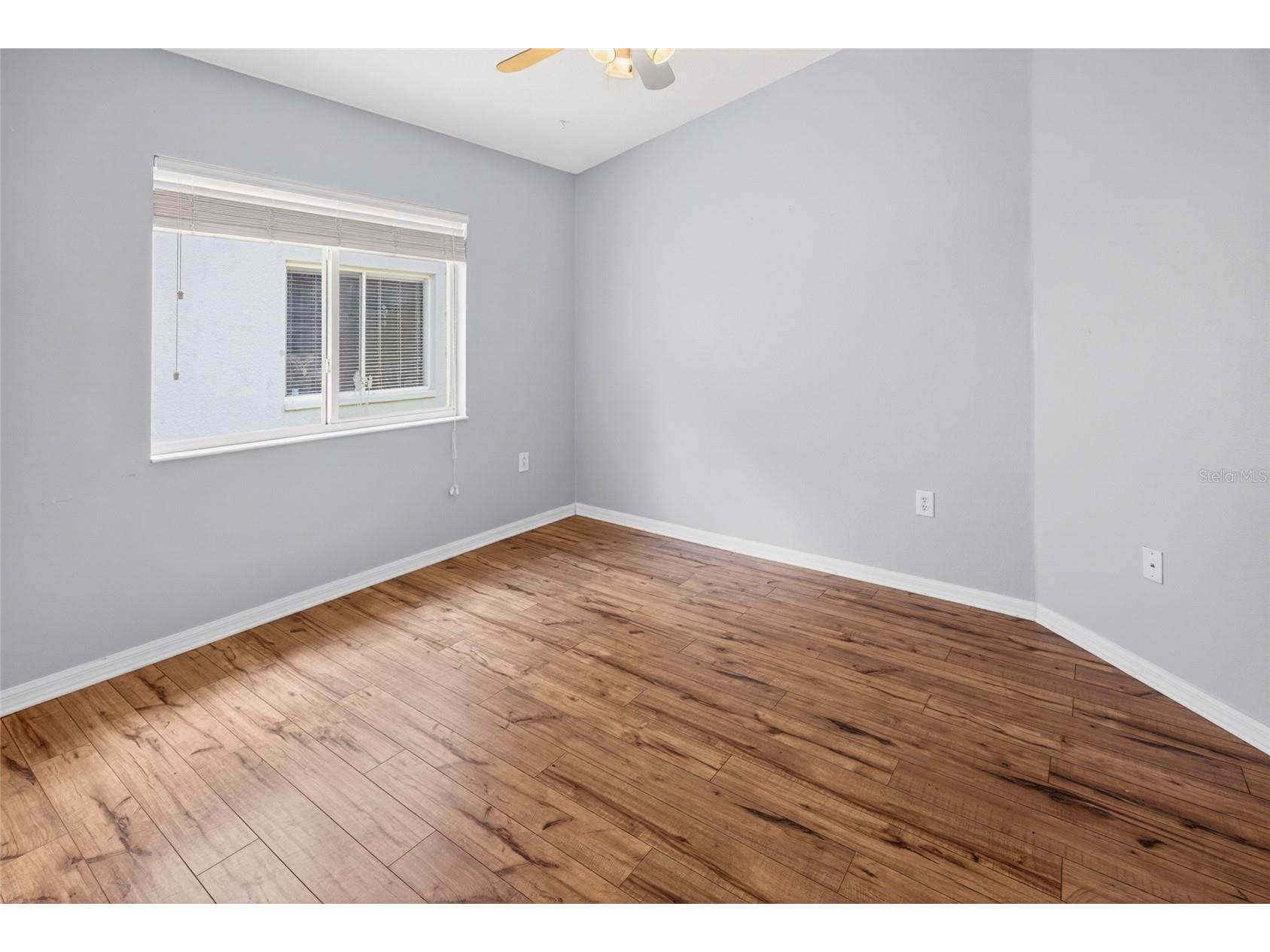19305 Sea Mist Lane Lutz FL 33558 TB8516809 image22