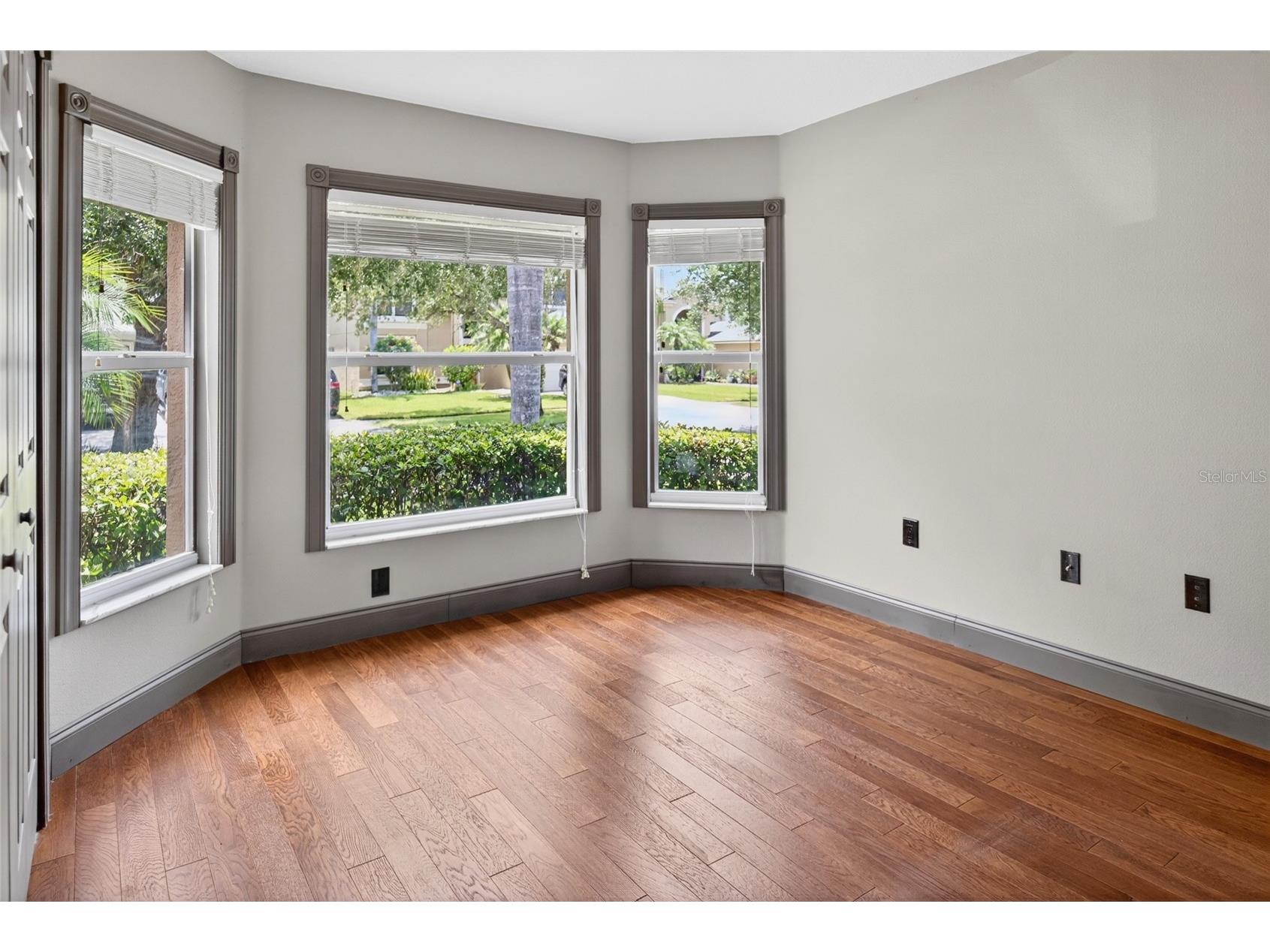 19305 Sea Mist Lane Lutz FL 33558 TB8516809 image23