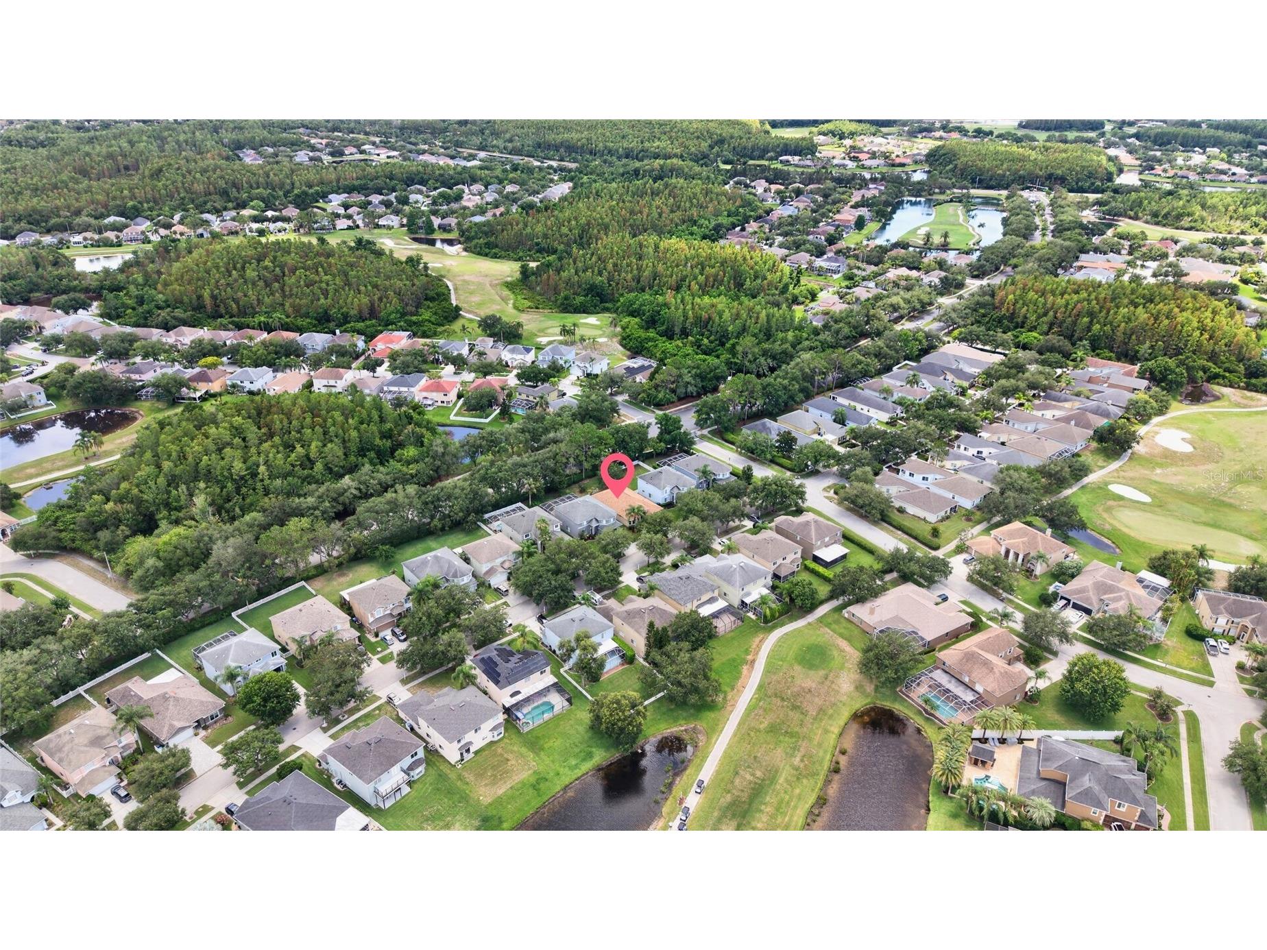 19305 Sea Mist Lane Lutz FL 33558 TB8516809 image38