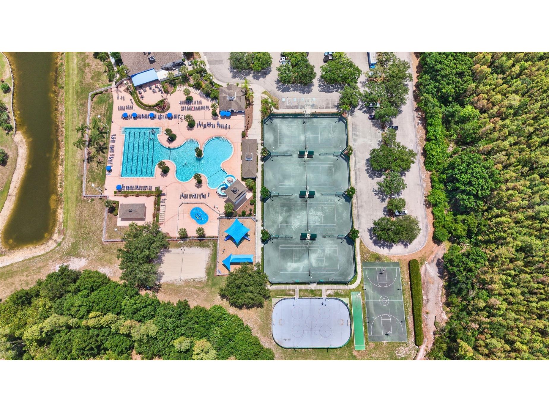 19305 Sea Mist Lane Lutz FL 33558 TB8516809 image41