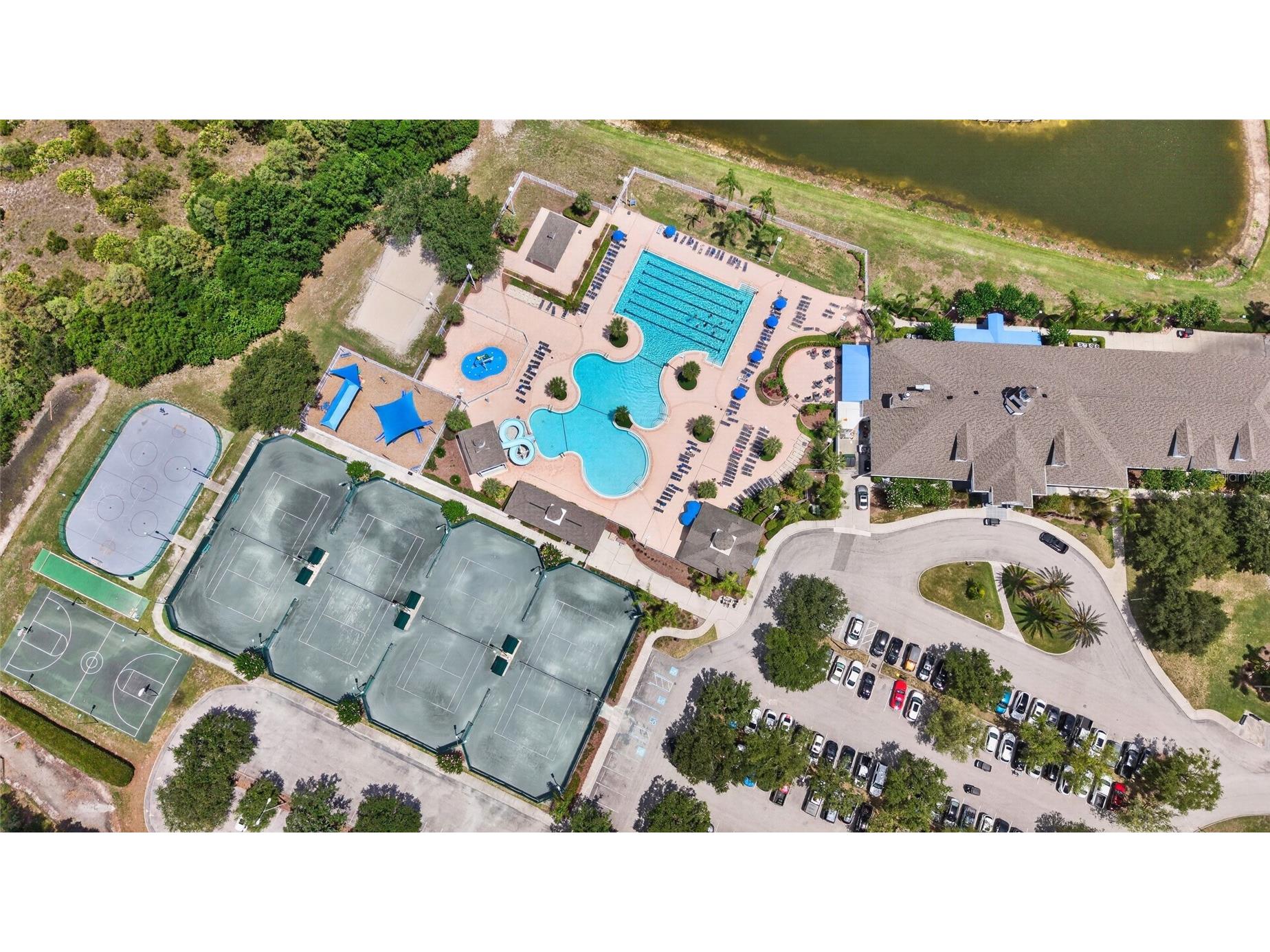 19305 Sea Mist Lane Lutz FL 33558 TB8516809 image48