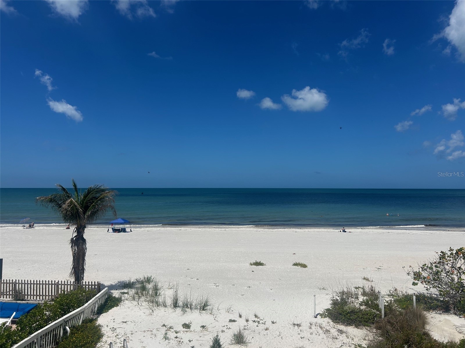 19306 Gulf Boulevard Indian Rocks Beach FL 33785 TB8510647 image3