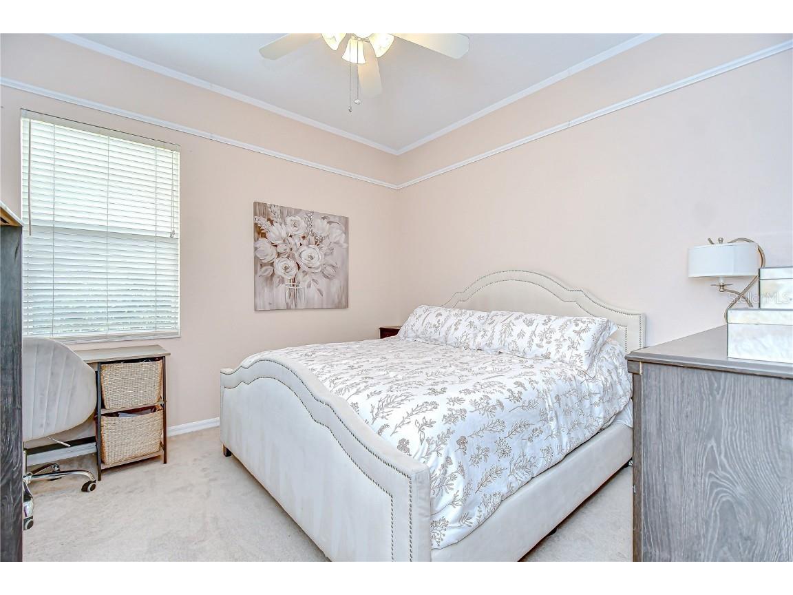 19307 Wind Dancer Street Lutz FL 33558 TB8401095 image22