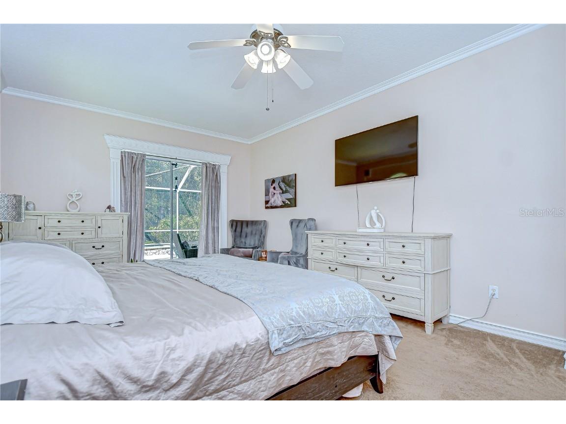 19307 Wind Dancer Street Lutz FL 33558 TB8401095 image25