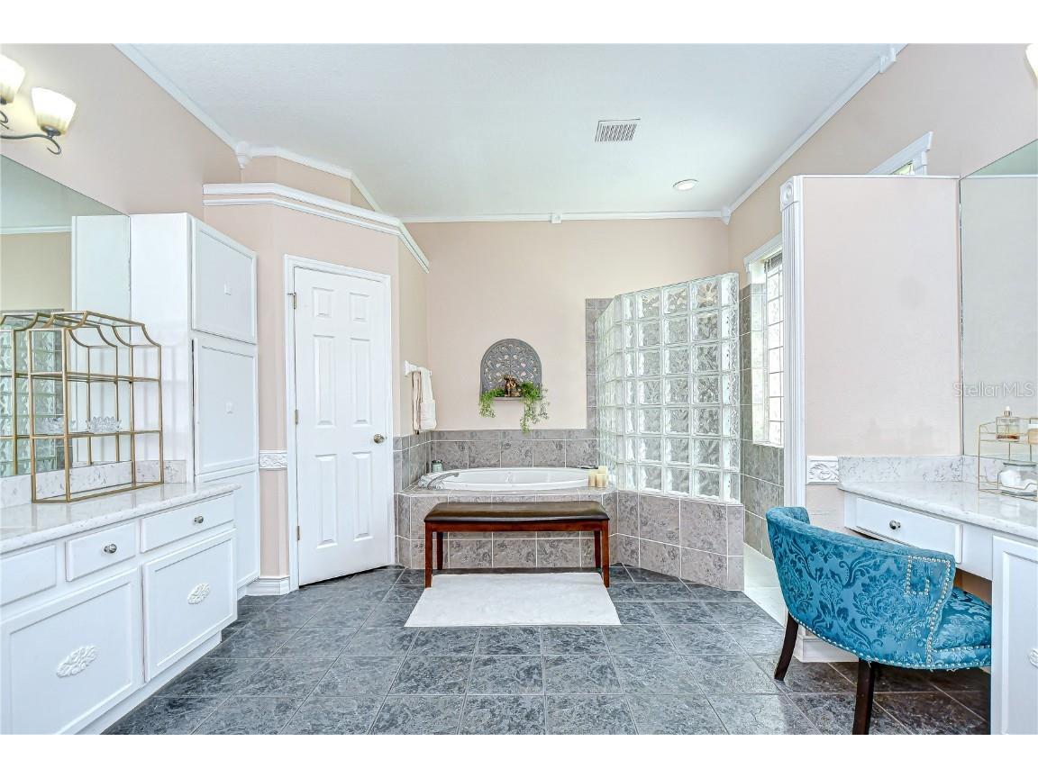 19307 Wind Dancer Street Lutz FL 33558 TB8401095 image26