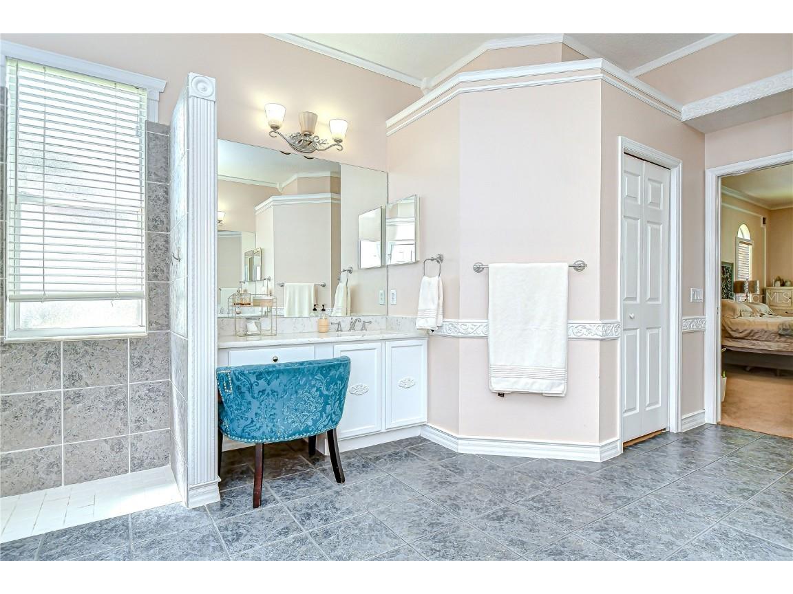 19307 Wind Dancer Street Lutz FL 33558 TB8401095 image28