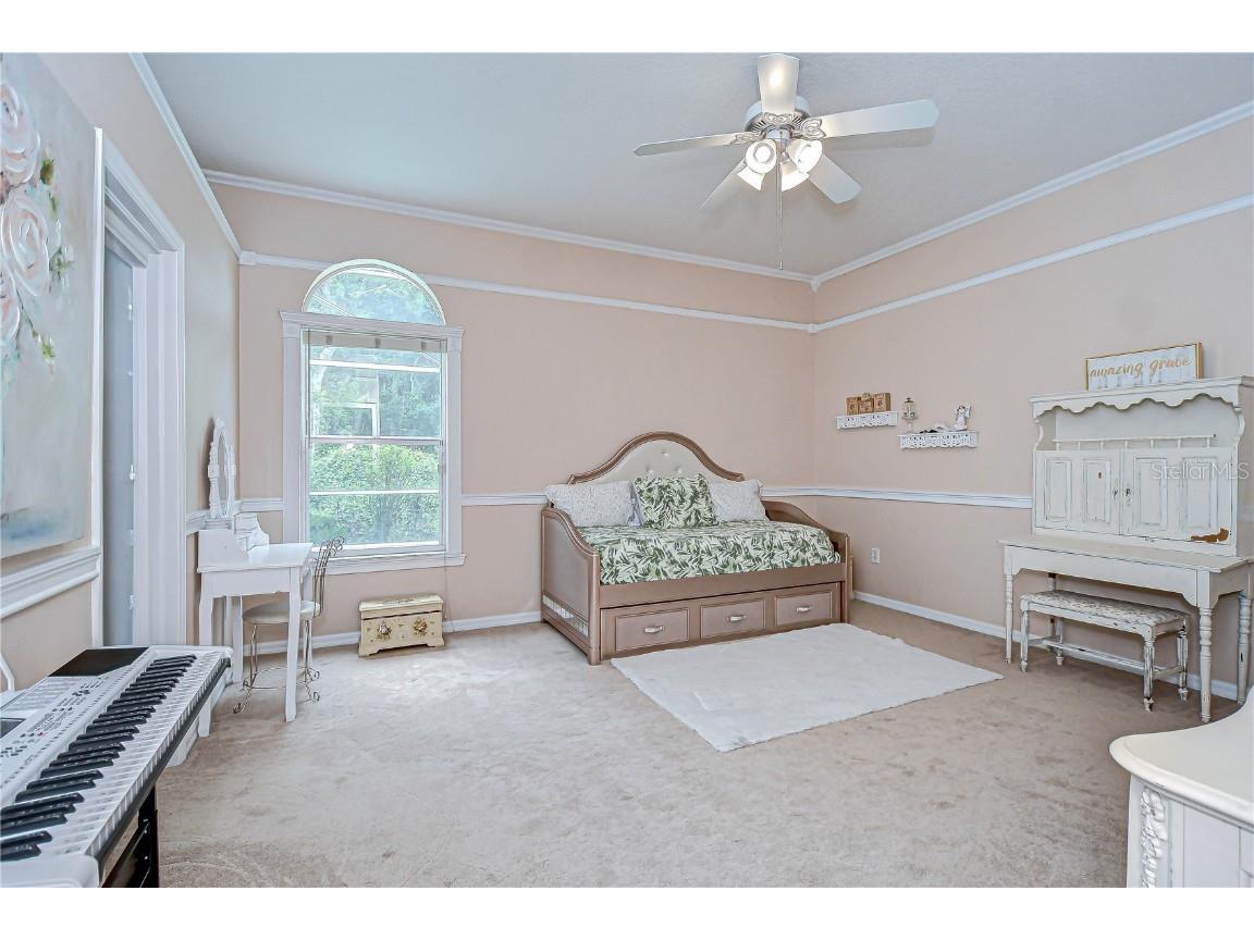 19307 Wind Dancer Street Lutz FL 33558 TB8401095 image32