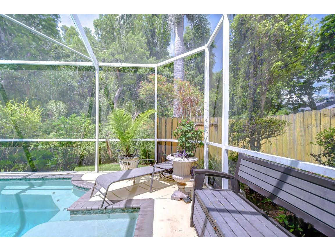 19307 Wind Dancer Street Lutz FL 33558 TB8401095 image39