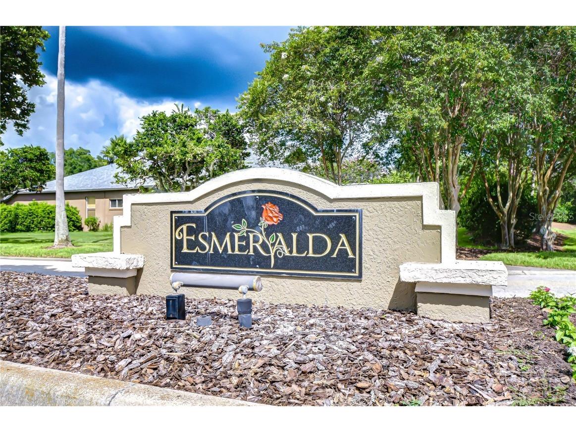 19307 Wind Dancer Street Lutz FL 33558 TB8401095 image44