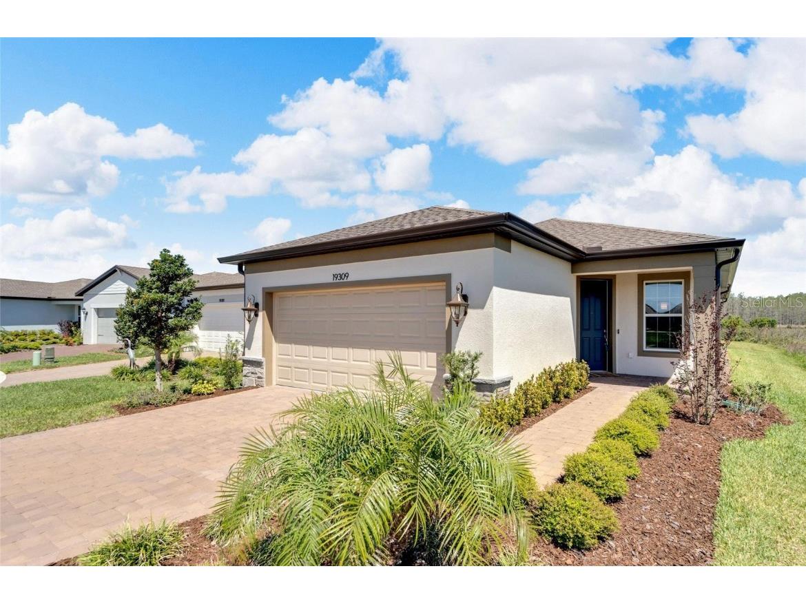 19309 Iron Topsail Isle Land O Lakes FL 34638 S5101228 image1