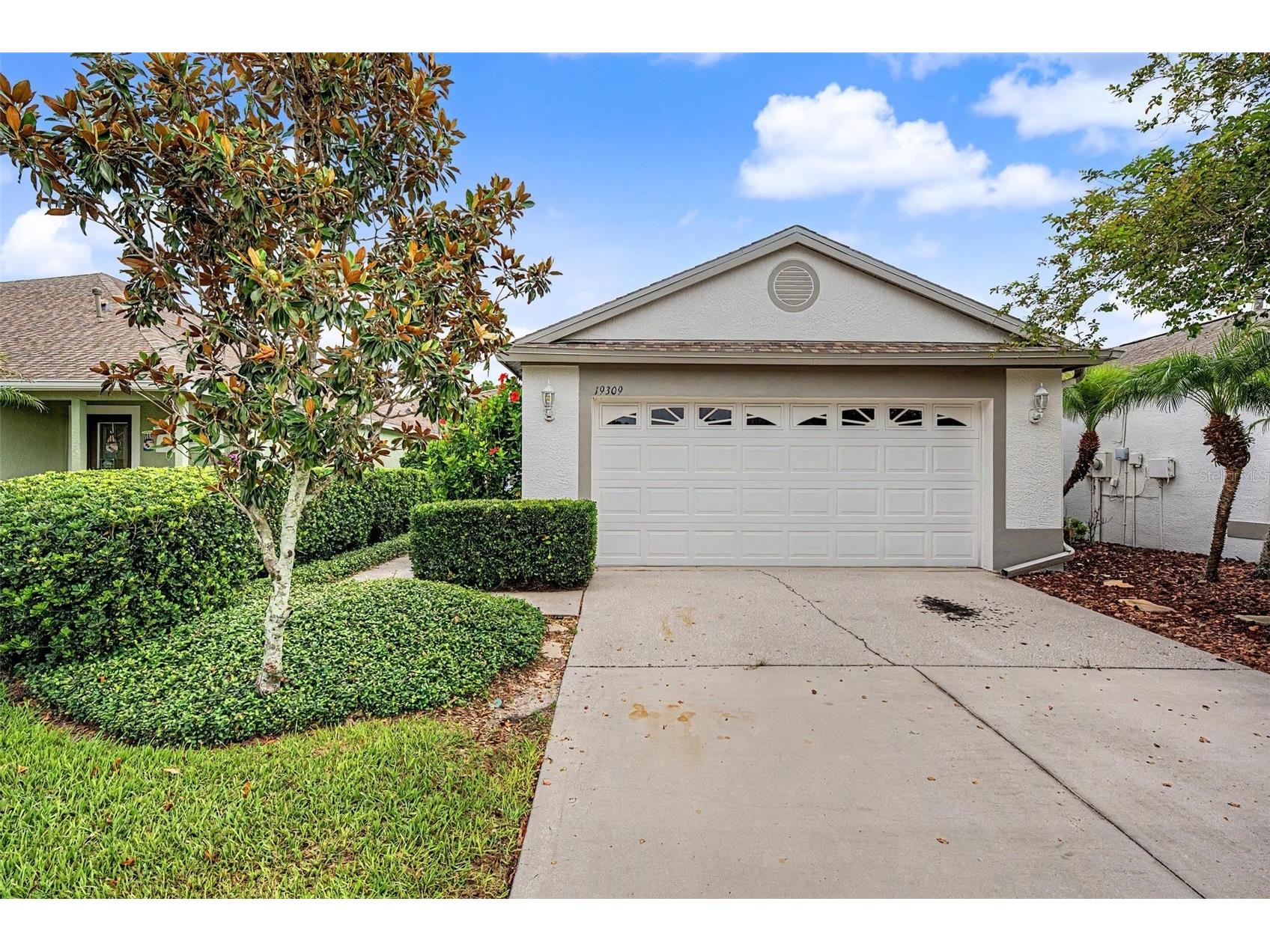 19309 Weymouth Drive Land O Lakes FL 34638 TB8509760 image1