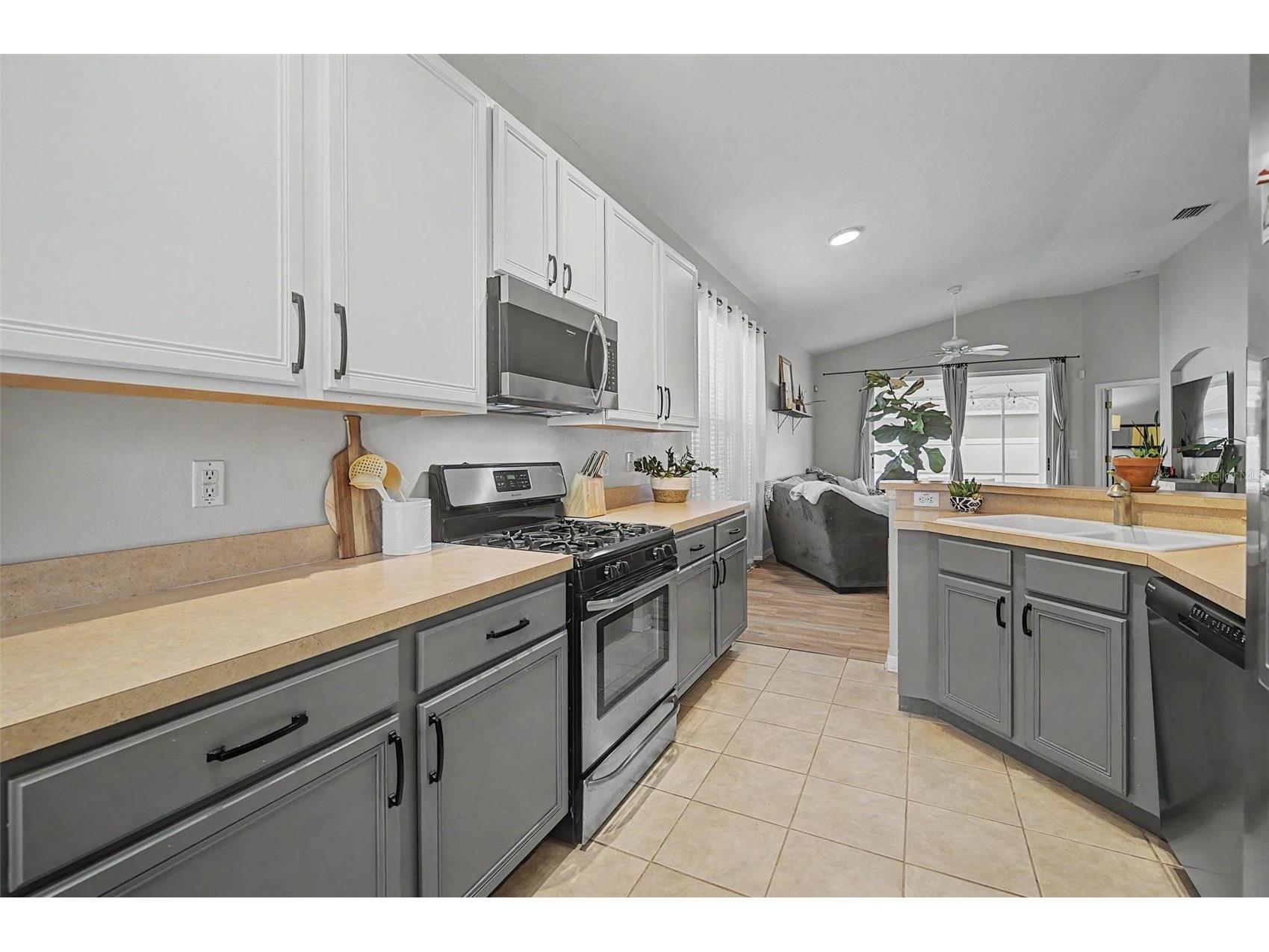 19309 Weymouth Drive Land O Lakes FL 34638 TB8509760 image13