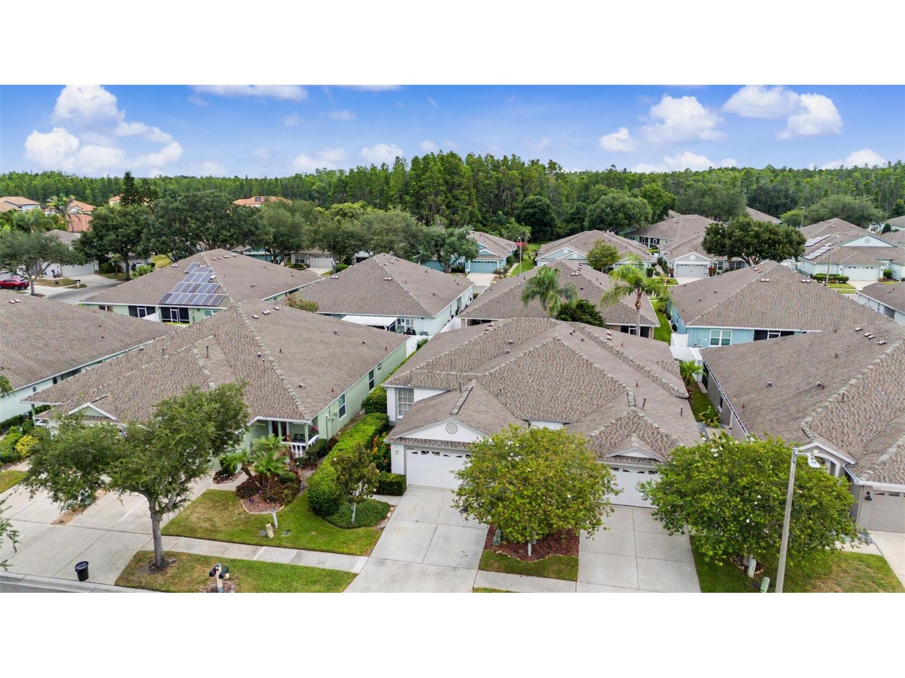 19309 Weymouth Drive Land O Lakes FL 34638 TB8509760 image35