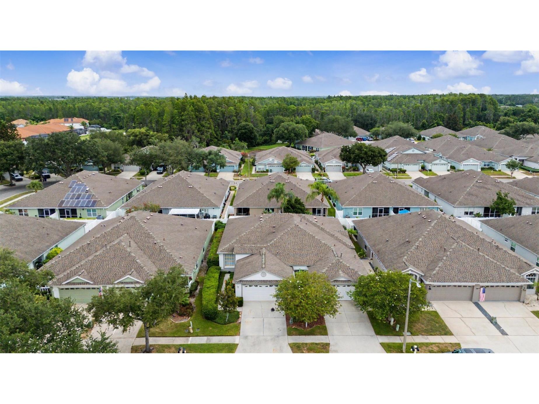19309 Weymouth Drive Land O Lakes FL 34638 TB8509760 image36