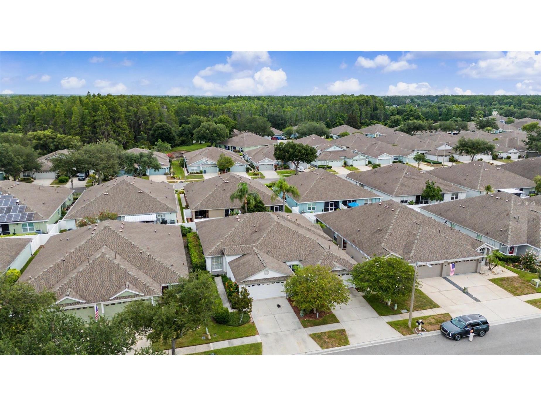 19309 Weymouth Drive Land O Lakes FL 34638 TB8509760 image37