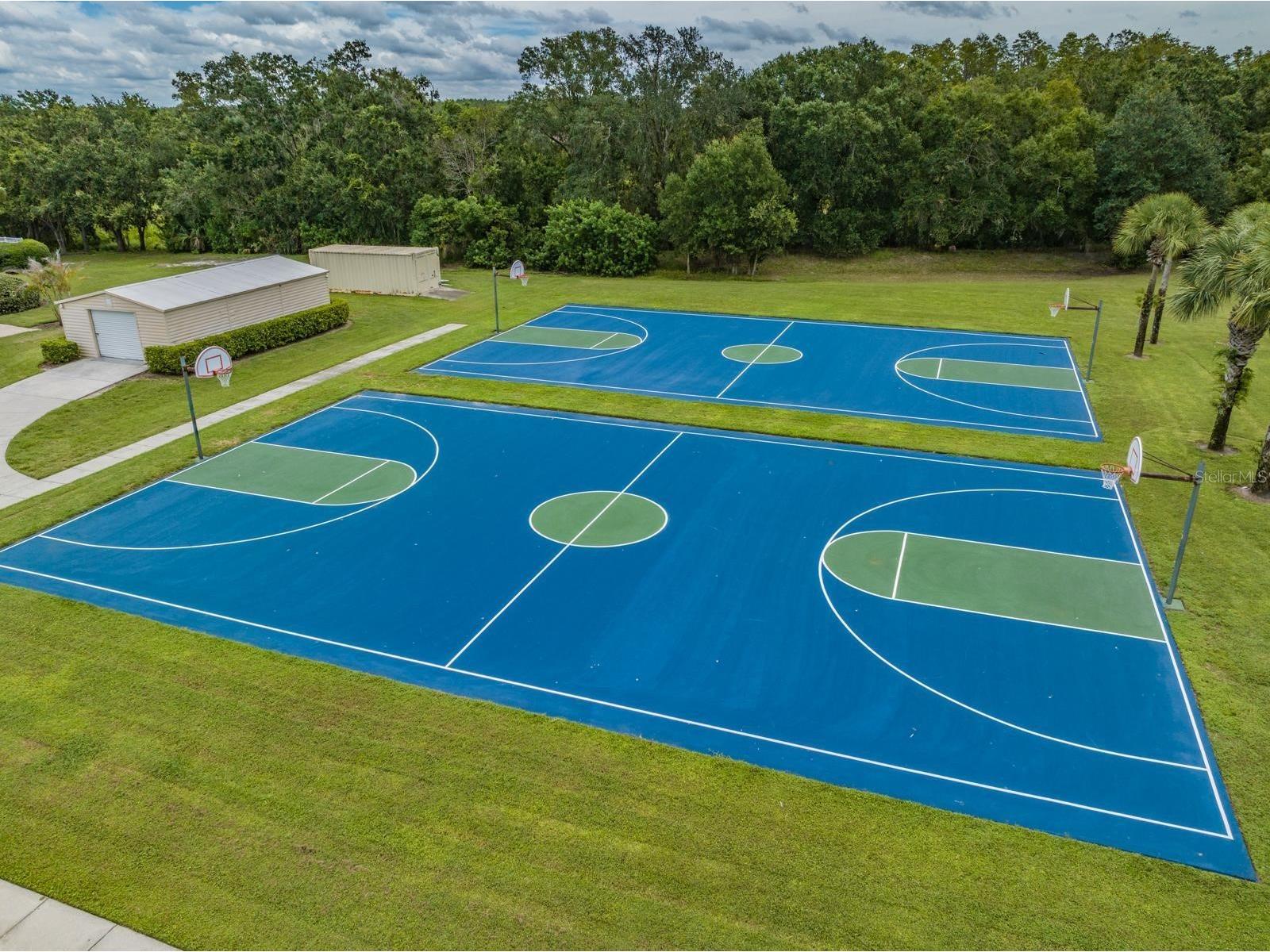 19309 Weymouth Drive Land O Lakes FL 34638 TB8509760 image42