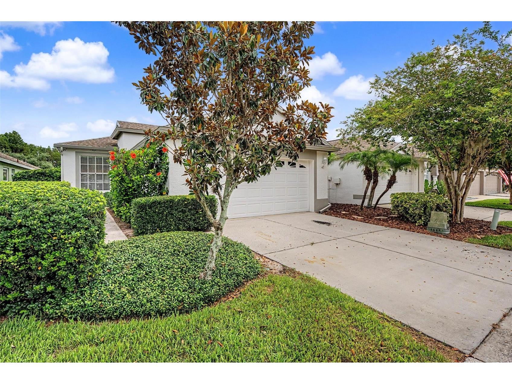 19309 Weymouth Drive Land O Lakes FL 34638 TB8509760 image5
