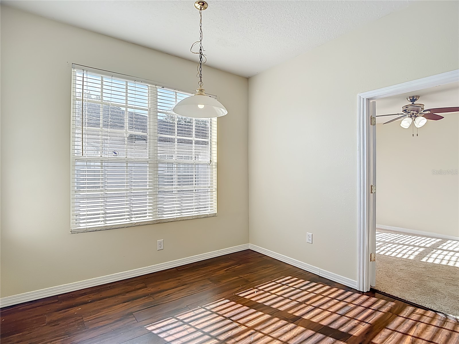 1931 Sassafras Drive Wesley Chapel FL 33543 O6398460 image23